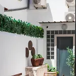 Alfama Terrace With Authentic Xviii Tiles And Historic Notes 3 Bedrooms & 2 Bathrooms Ac