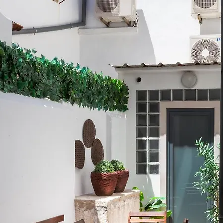 Alfama Terrace With Authentic Xviii Tiles And Historic Notes 3 Bedrooms & 2 Bathrooms Ac